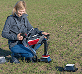 Probing cereals in the tillering stage.
