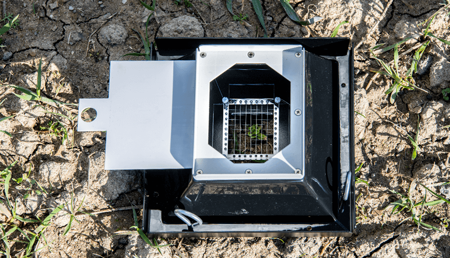 Dark Acclimation Box. View of the inside with Nylon net to keep larger plants in the focal range of the camera.