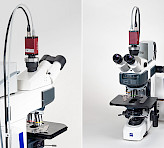 M-Series MICROSCOPY version with Red‐Green‐Blue Microscopy LED lamp IMAG‐RBG on a Zeiss Axioscope 5 microscope.