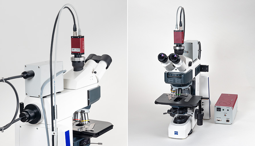 M-Series MICROSCOPY version with Red‐Green‐Blue Microscopy LED lamp IMAG‐RBG on a Zeiss Axioscope 5 microscope.