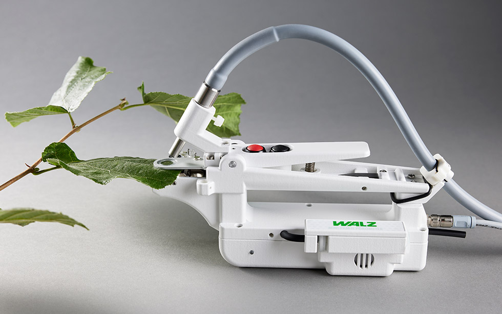 1 cm diameter sample area