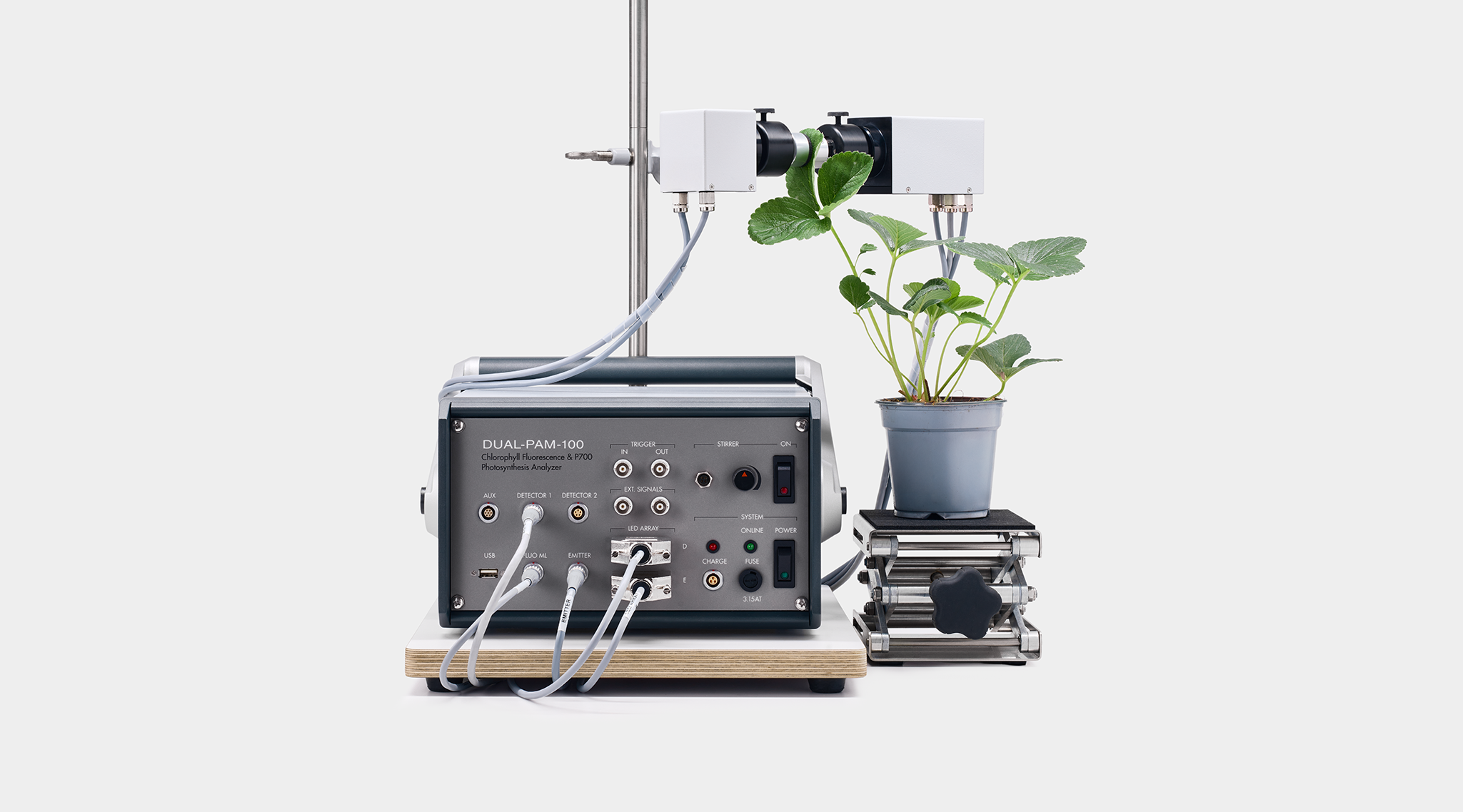 emitter and detector heads clamped on a strawberry plant leaf mounted on adjustable lab jack, showing front panel with detector, LED array, trigger and system connectors