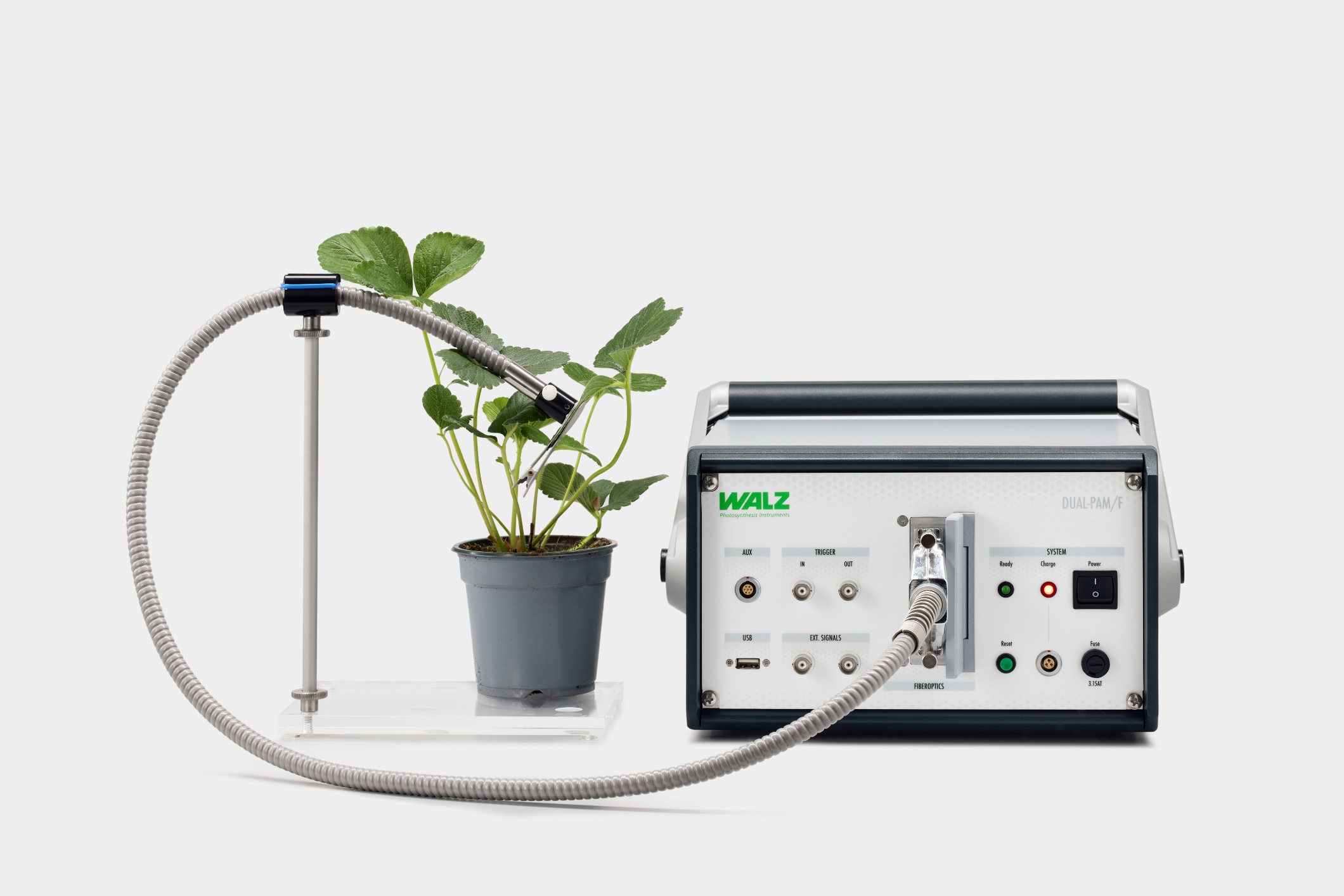 A strawberry leaf was placed between the detector and emitter heads of the instrument