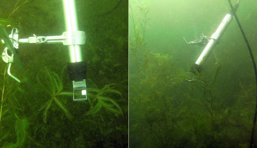 Continuous monitoring of photosynthesis in curly-leaf pondweed (Potamogeton crispus) by MONI-HEAD/S sensors. (Limnological research base of the Technical University of Munich, Iffeldorf, headed by Prof. A. Melzer. Prototypes with stainless steel housing are shown.) See also Examples of Application.