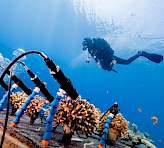 Coral Monitoring Station, realtime access data on coral health. Photo credit: Omri Omessi.