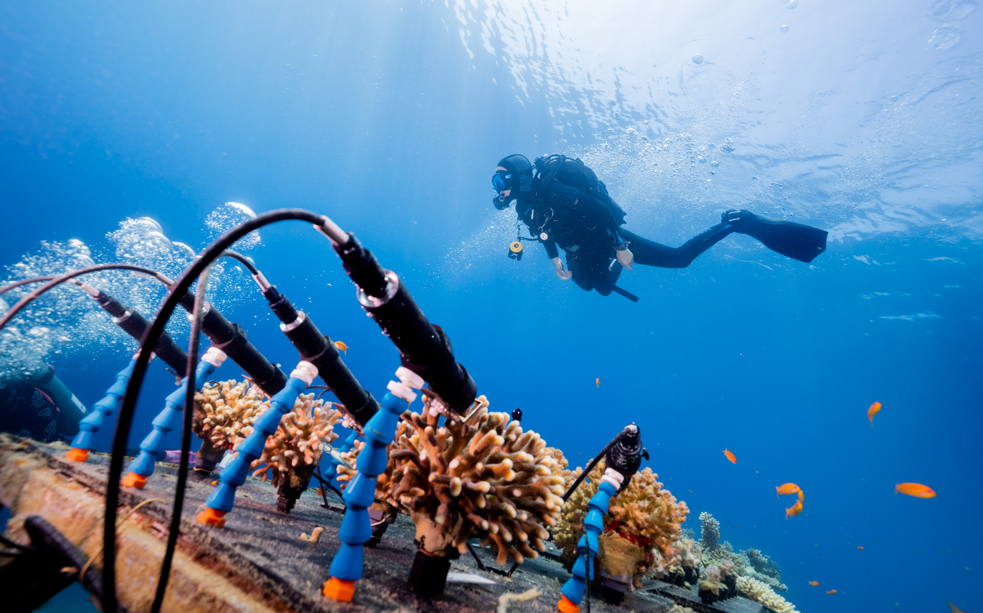 Coral Monitoring Station, realtime access data on coral health. Photo credit: Omri Omessi.