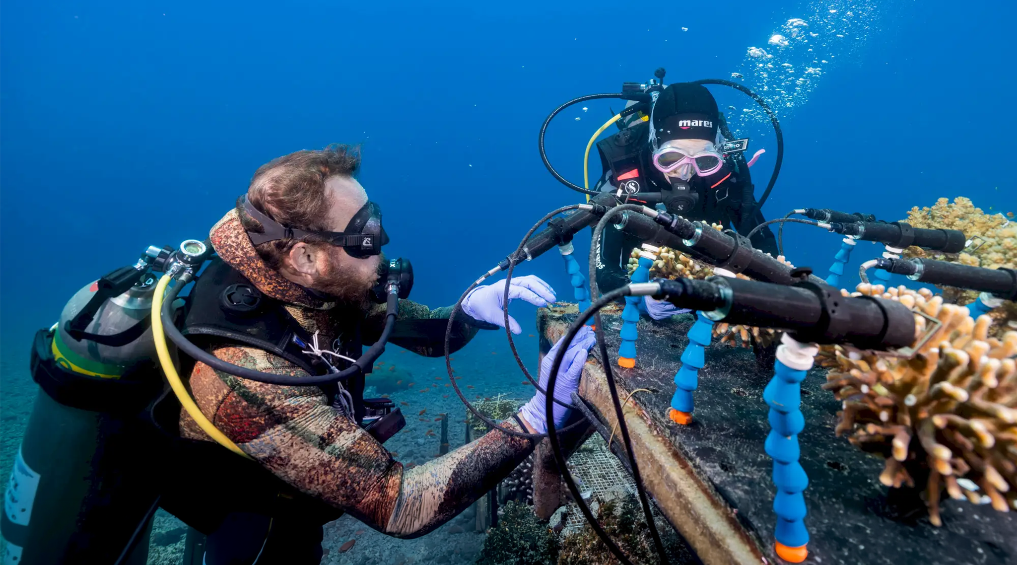 Coral Monitoring Station, realtime access data on coral health. Photo credit: Omri Omessi.