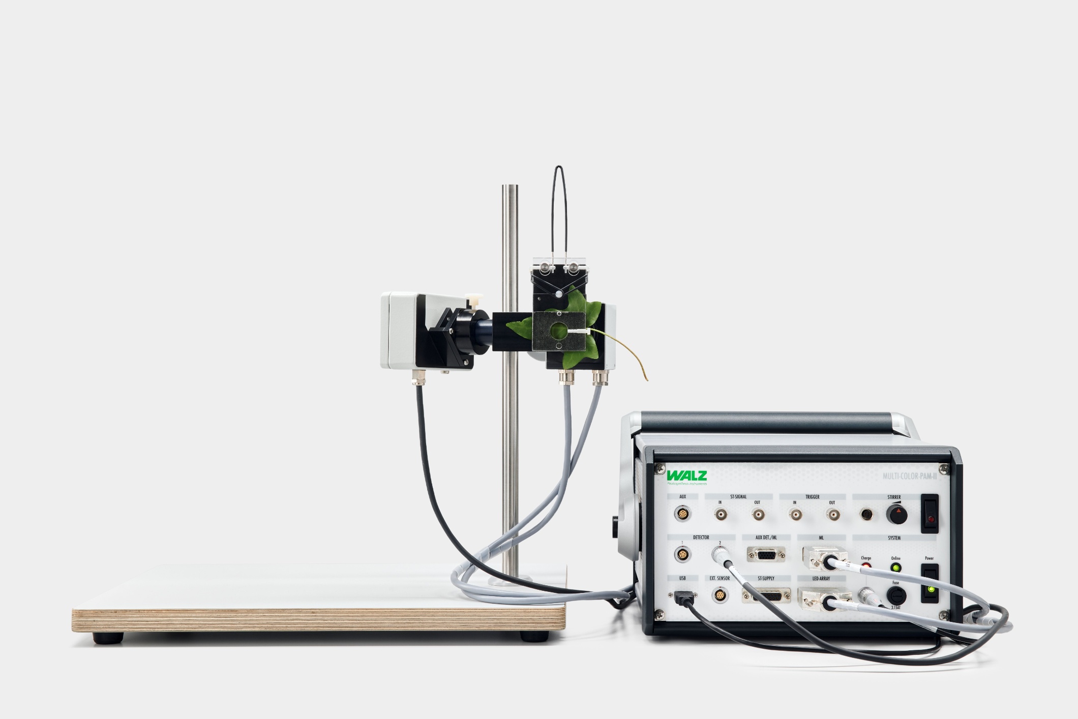 Leaf clip MCP-BK designed for the MULTI-COLOR-PAM-I with the multi-color emitter and detector of the MULTI-COLOR-PAM-II connected.