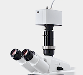 MICROSCOPY-PAM version with photomultiplier detector PM-MF on a Zeiss Axioscope 5 microscope.
