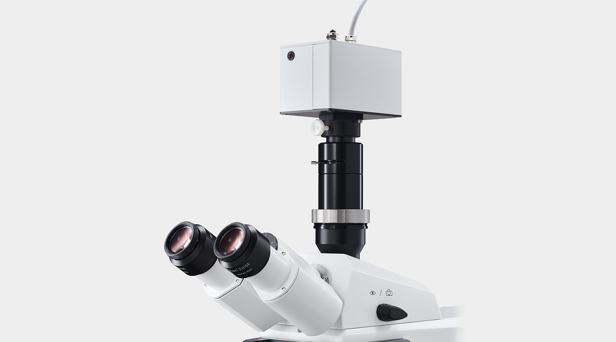 MICROSCOPY-PAM version with photomultiplier detector PM-MF on a Zeiss Axioscope 5 microscope.