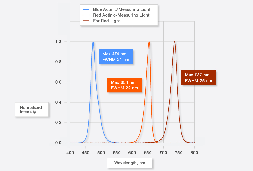 Figure 1: Typical LED emission spectra normalized to their maxima. The blue curve corresponds to the spectrum of the blue LED of the MINI-PAM-II/B, the red curve represents the red LED of the MINI-PAM-II/R. Both MINI-PAM-II versions possess a far red LED which emits maximally around 735 nm (rightmost curve). Peak wavelength and full width at half maximum (bracketed) in nm are displayed.