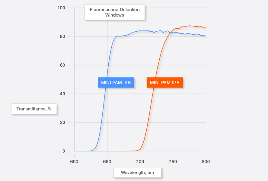 Figure 2: Transmittance spectra of detection filters in the MINI-PAM-II-B (BLUE Version, red line) and MINI-PAM-II/R (RED Version, dark red &nbsp;line).