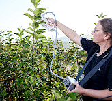 A woman is screening in the field with the porometer on leaves