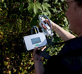 a woman is measuring FV/FM in the field with the porometer