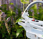 Measurements with MINI-PAM-II/POROMETER on lavender