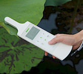 Measurement on a Lotus.