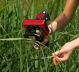 Woman measuring grass blades in the field using the IMAGING-PAM MINI-version with the IMAG-MIN/BK leaf clip